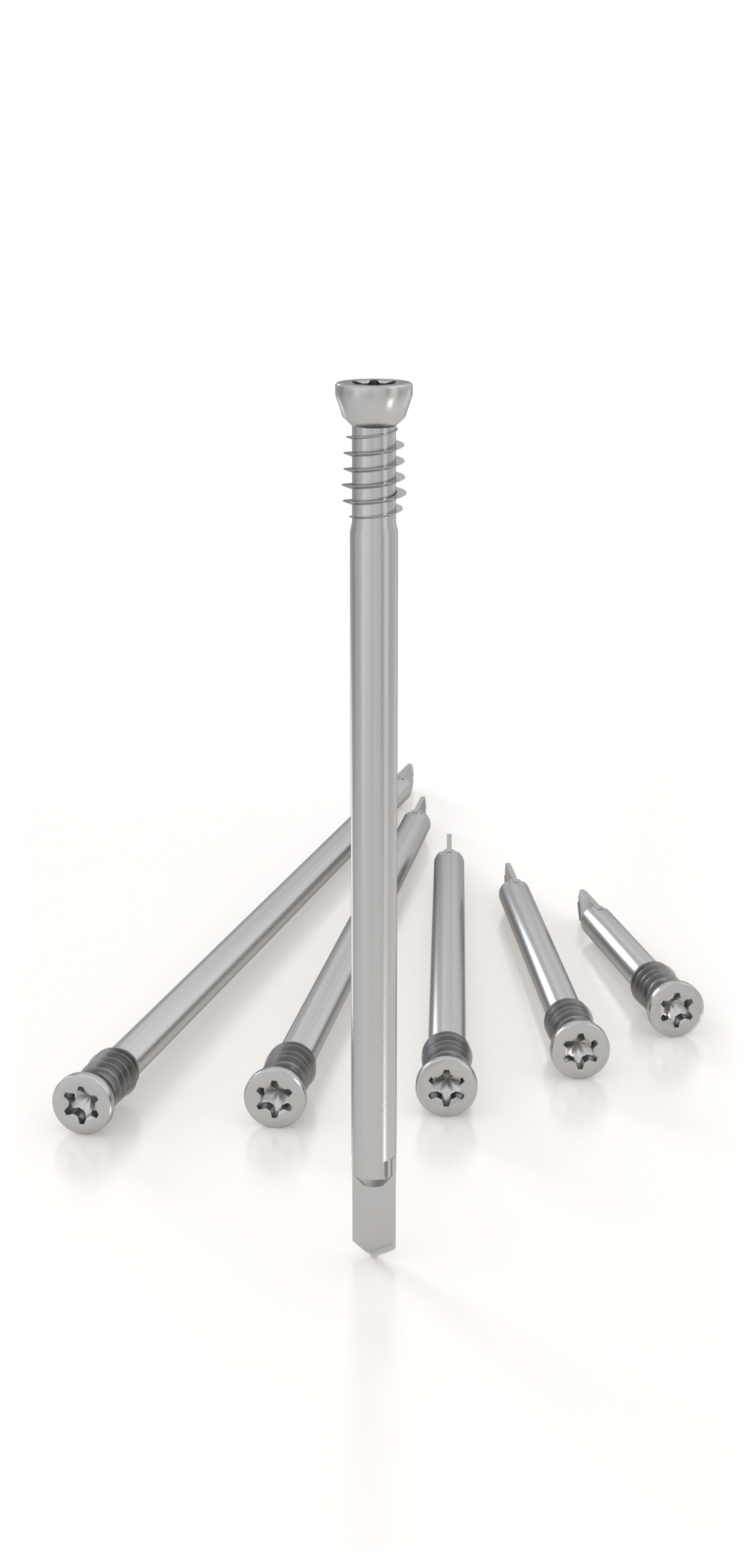 spinotto-autoforante-ws